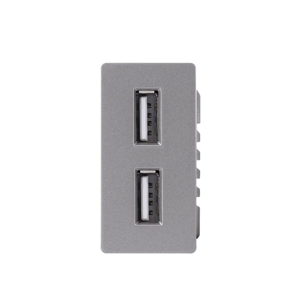 Купить Механизм розетки 1/2 (без рамки) 2Usb АА 10Вт, цвет серый в интернет-магазине Mvava.ru
