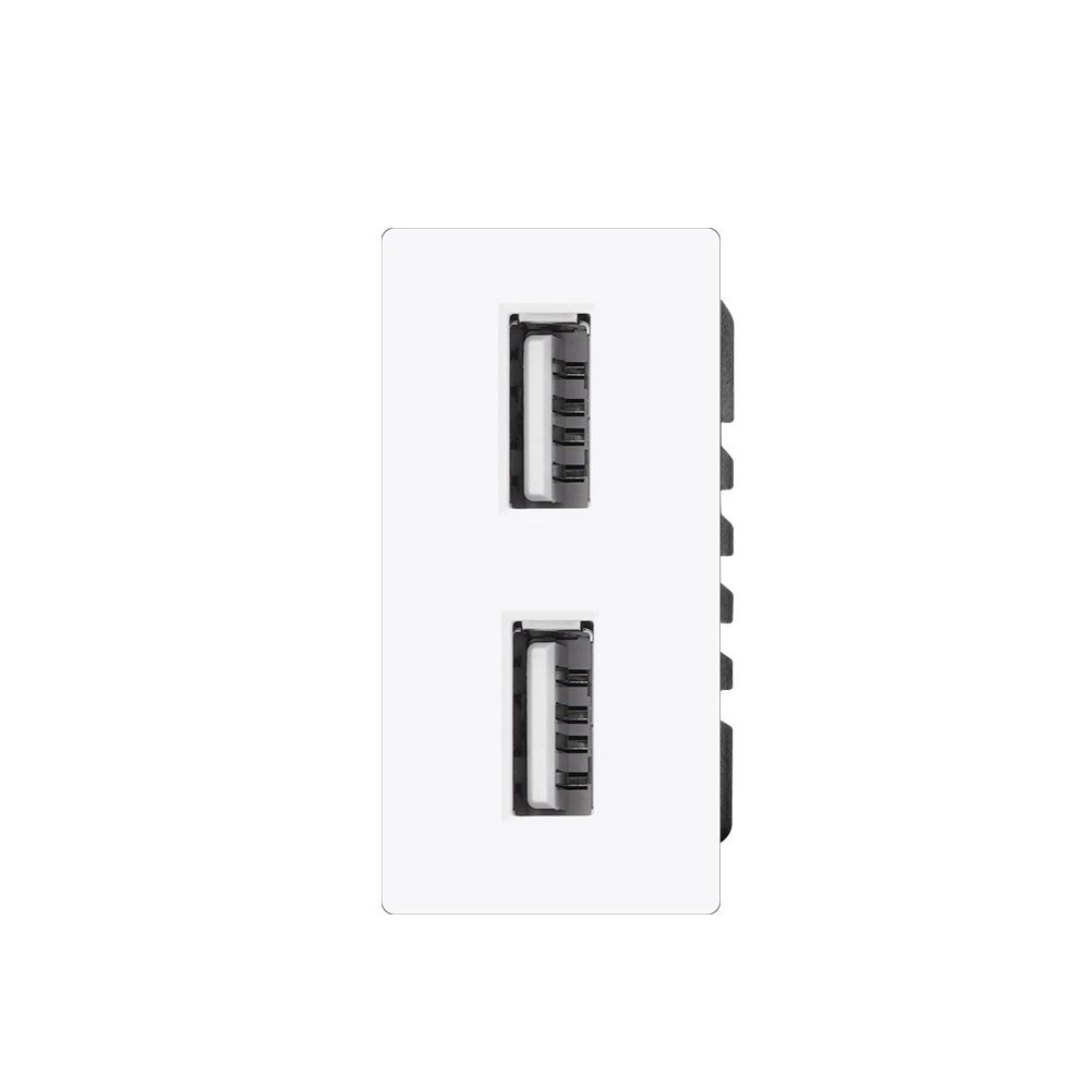 Купить Механизм розетки 1/2 (без рамки) Usb АА 10Вт, цвет белый в интернет-магазине Mvava.ru