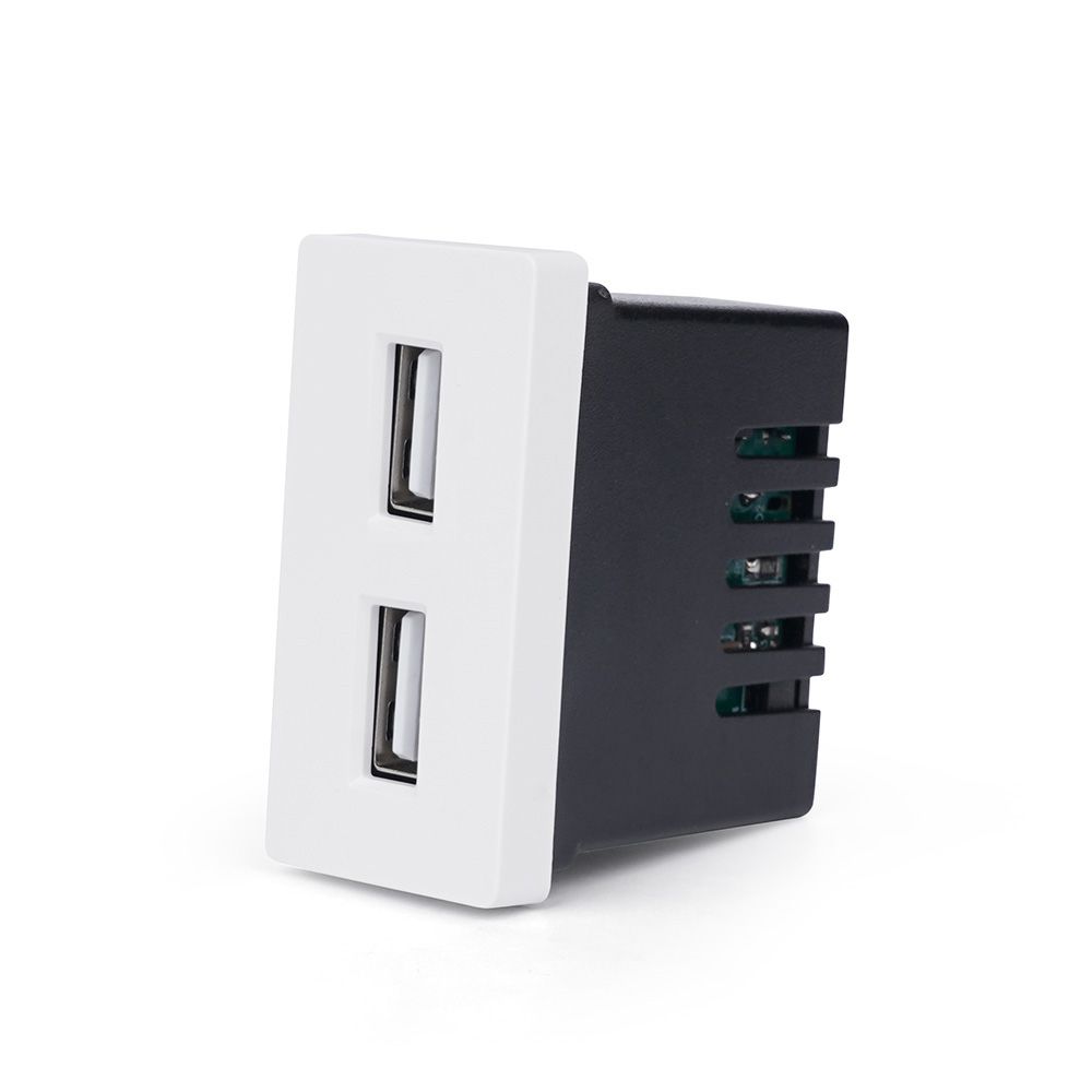 Купить Механизм розетки 1/2 (без рамки) Usb АА 10Вт, цвет белый в интернет-магазине Mvava.ru