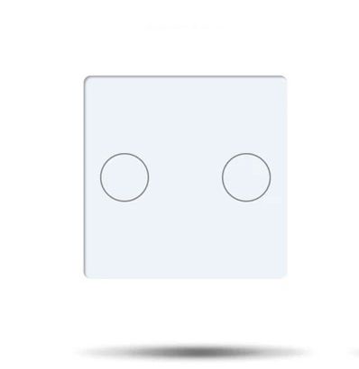 Купить Вставка 2G 47*47мм, стекло (без выкл.) цвет белый в интернет-магазине Mvava.ru