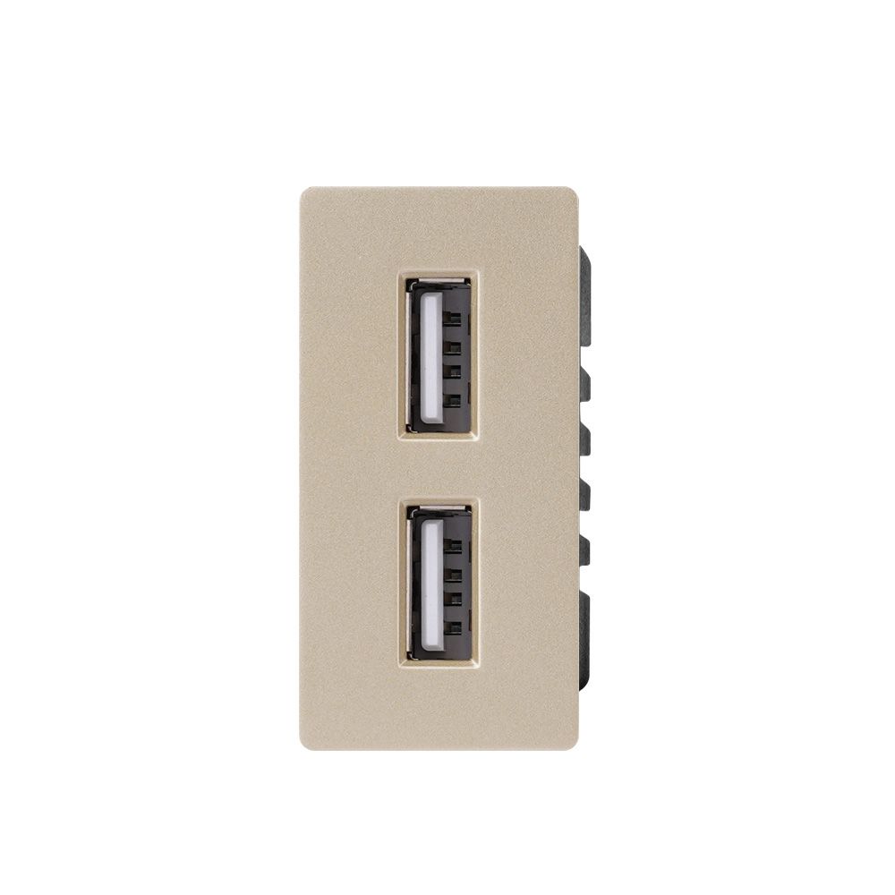 Купить Механизм розетки 1/2 (без рамки) 2Usb АА 10Вт, цвет золотой в интернет-магазине Mvava.ru