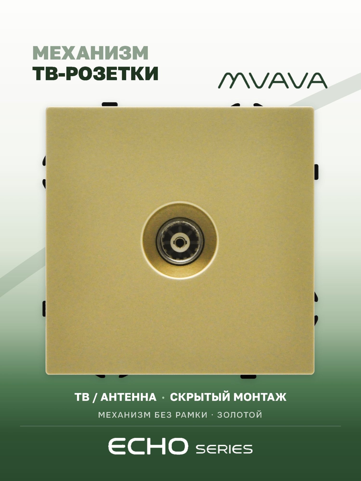 Розетка echo ТВ (без рамки), цвет золотой MVAVA