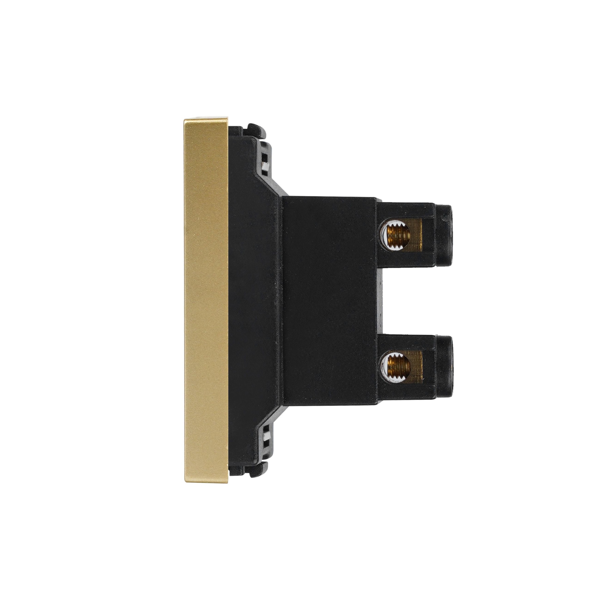 Купить Механизм розетки, 1/2 2 PIN 220В 10А (без рамки) цвет золотой в интернет-магазине Mvava.ru